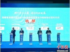 湘赣粤港澳携手发展中医药 推动中医药产业“走出去”